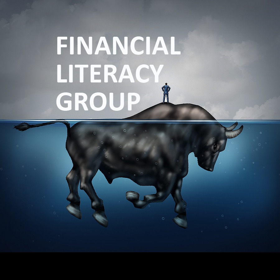 Image of Financial Literacy Group