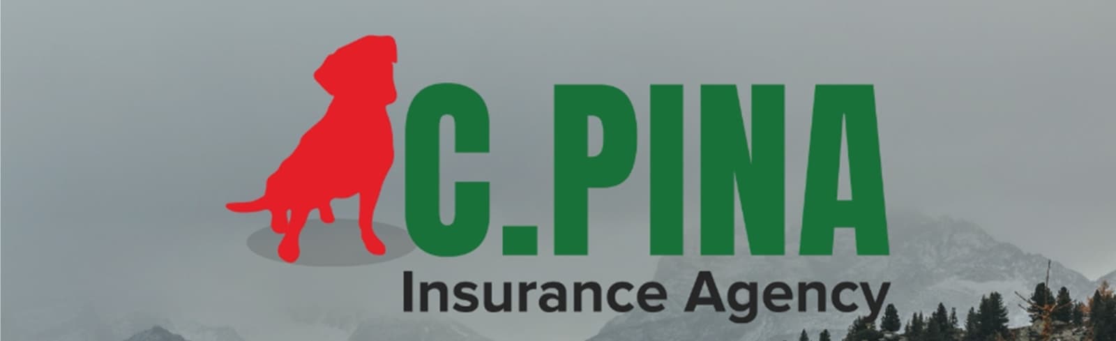 Banner of Craig Pina